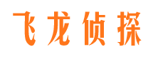 金平侦探